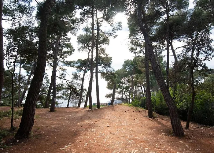 Ama - First Floor Apartamento